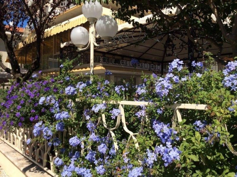 Hotel Donatello Cesenatico Dış mekan fotoğraf