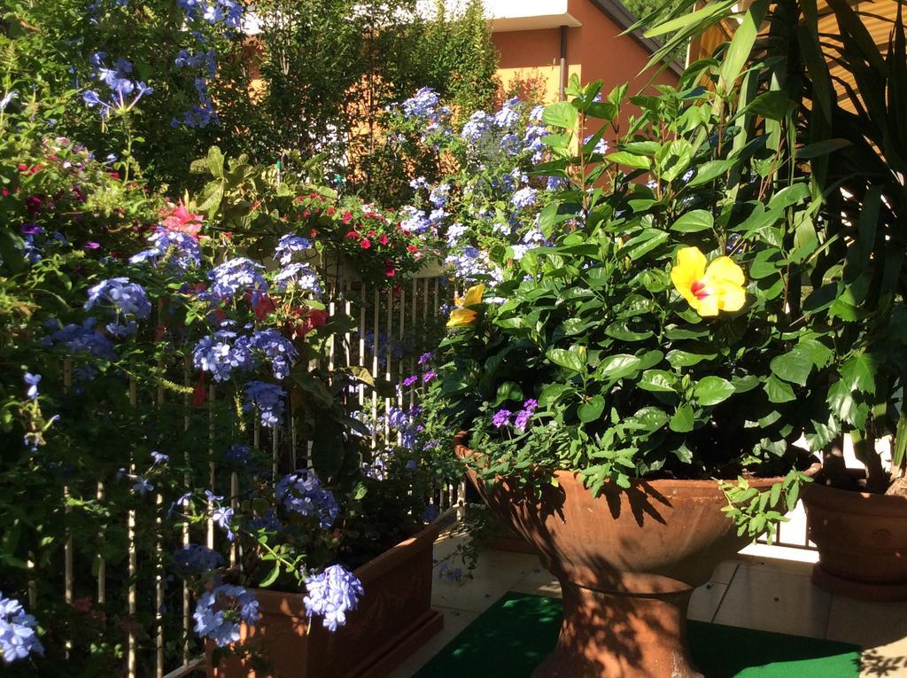 Hotel Donatello Cesenatico Dış mekan fotoğraf